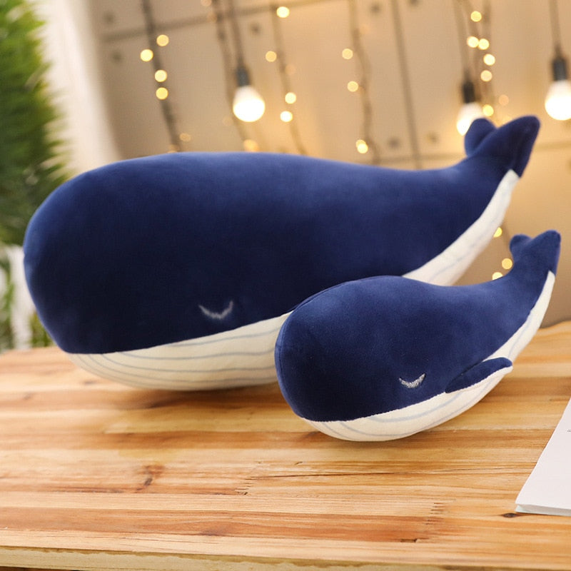 Différentes tailles de baleines en peluche alignées