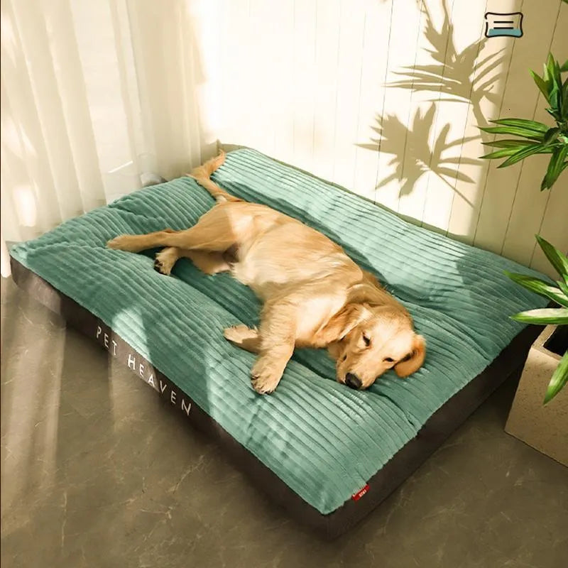 Lit pour chien avec mousse ergonomique, idéal pour articulations sensibles