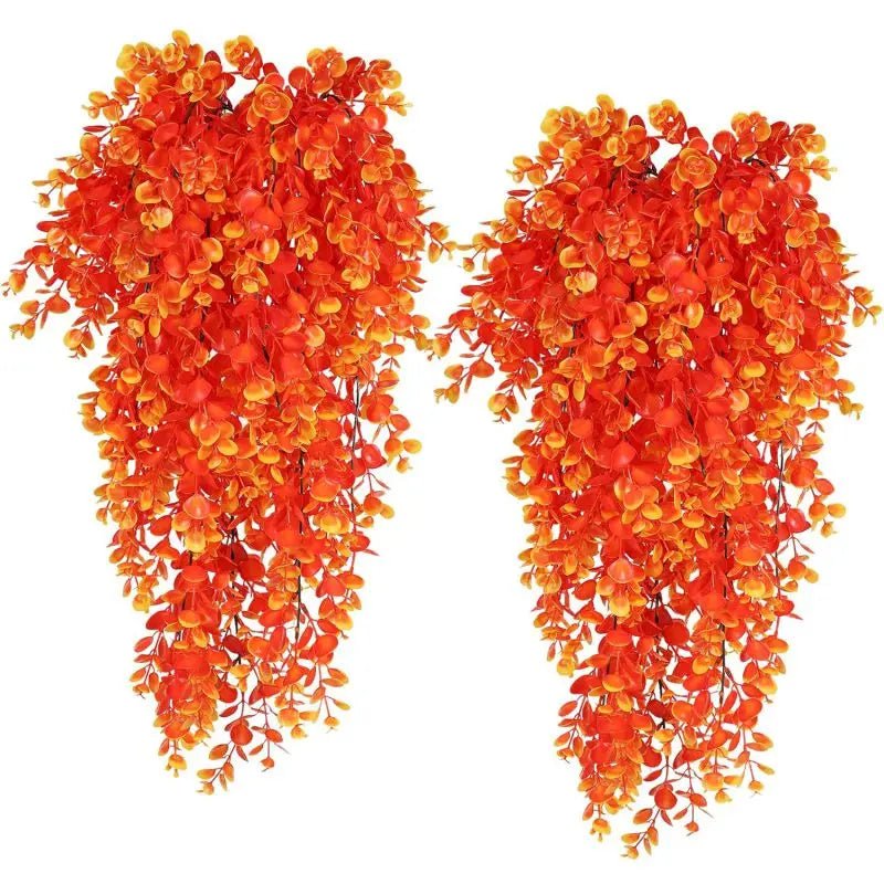 Plante d'eucalyptus suspendue, ajout moderne à tout espace