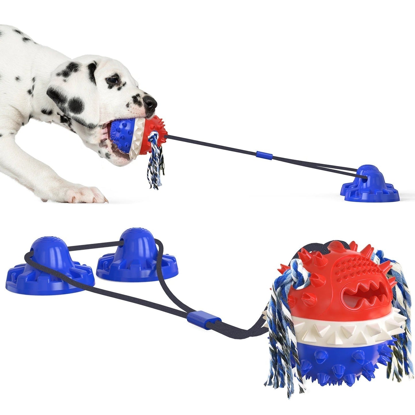 Design robuste du jouet interactif pour chiens actifs