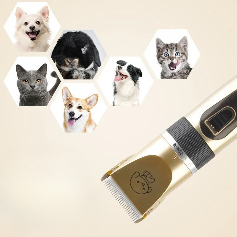 Design ergonomique de la tondeuse pour animaux