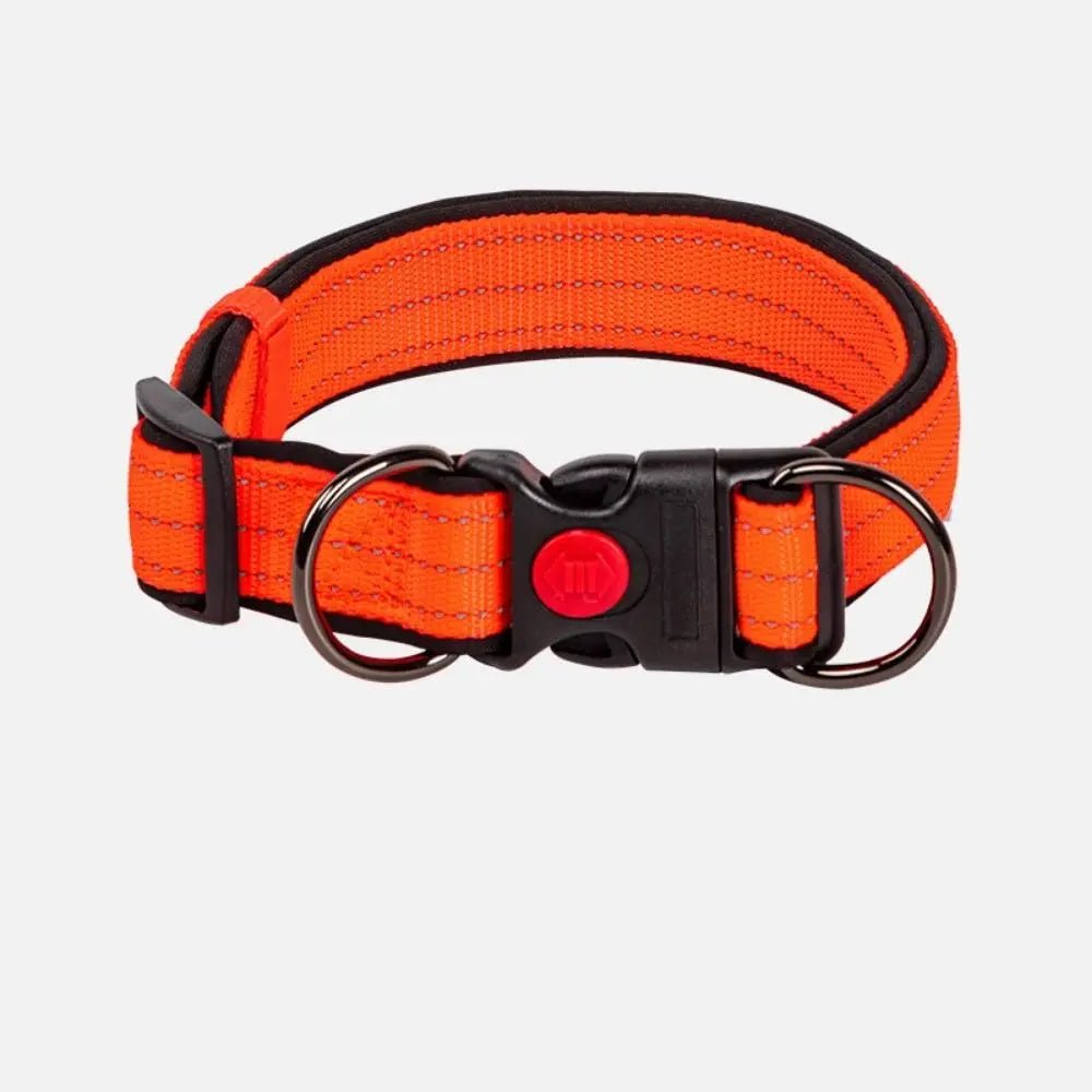 Collier en néoprène doux et nylon robuste pour chien