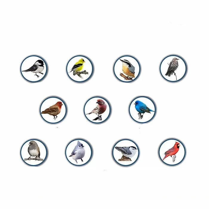 Gros plan sur le mécanisme anti-écureuil du nourrisseur à oiseaux