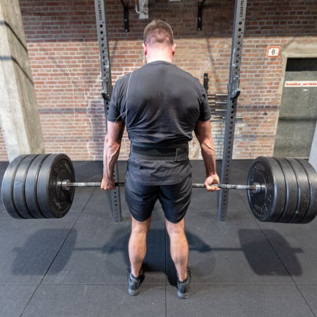 Vue arrière de la ceinture montrant le support dorsal