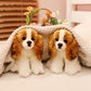 Chien en peluche tenant une petite couverture bleue