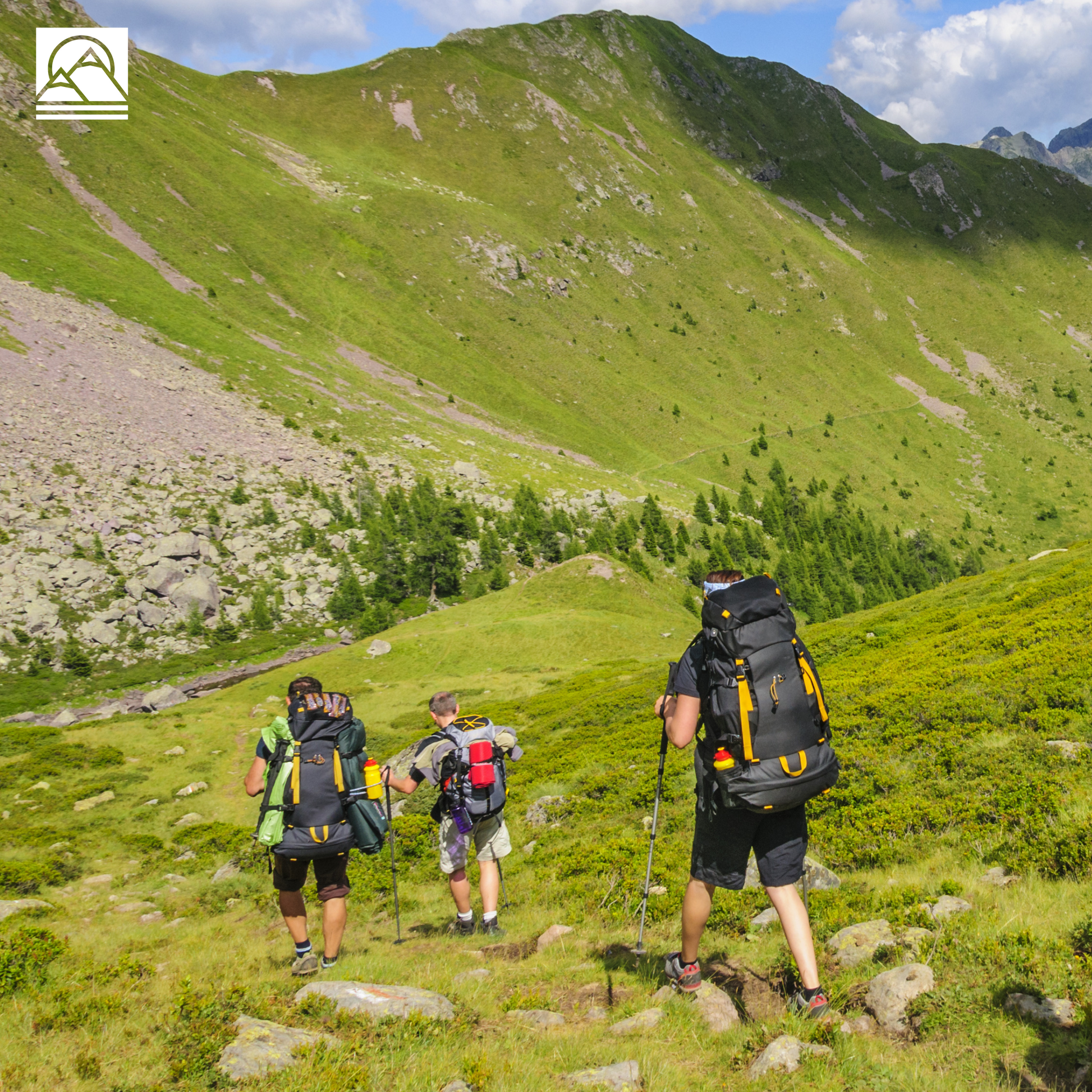 Gros plan sur la matière respirante de la chaussure