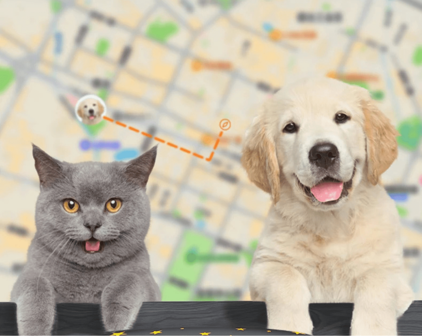 Collier GPS 4G pour chien avec design étanche