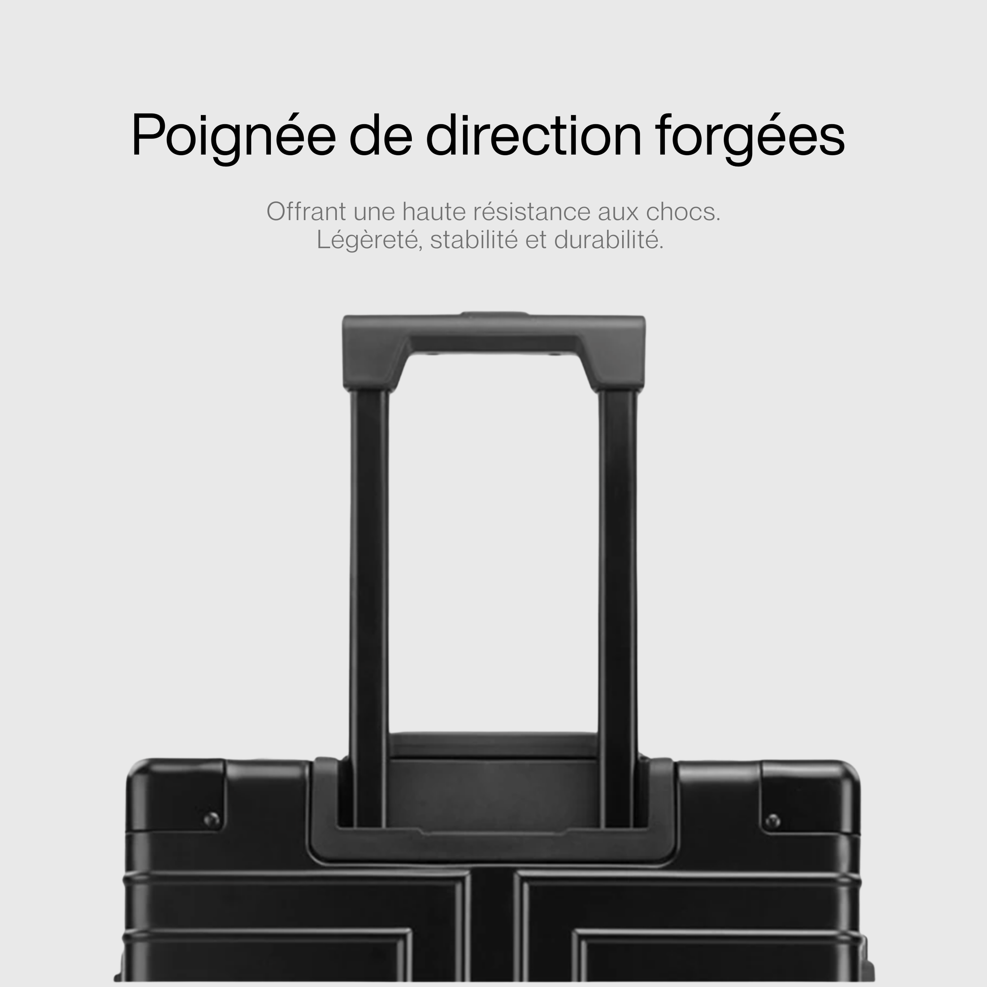 Intérieur de la valise avec séparateur et sangle de maintien
