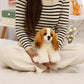 Gros plan sur le visage souriant du chien en peluche