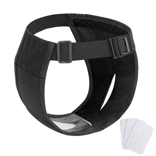 Pantalon hygiénique pour chien avec design multifonctionnel
