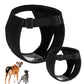 Pantalon hygiénique noir pour chien avec découpe pour la queue
