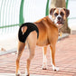 Pantalon pour chien avec taille élastique et boucle ajustable