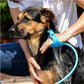 Pulvérisateur de douche pour chien avec mousse intégrée