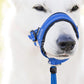 Chien portant muselière, sécurité et confort assurés