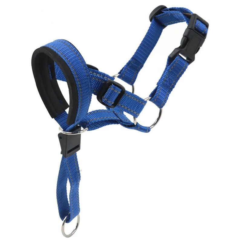 Muselière en tissu respirant, idéale pour l'entraînement