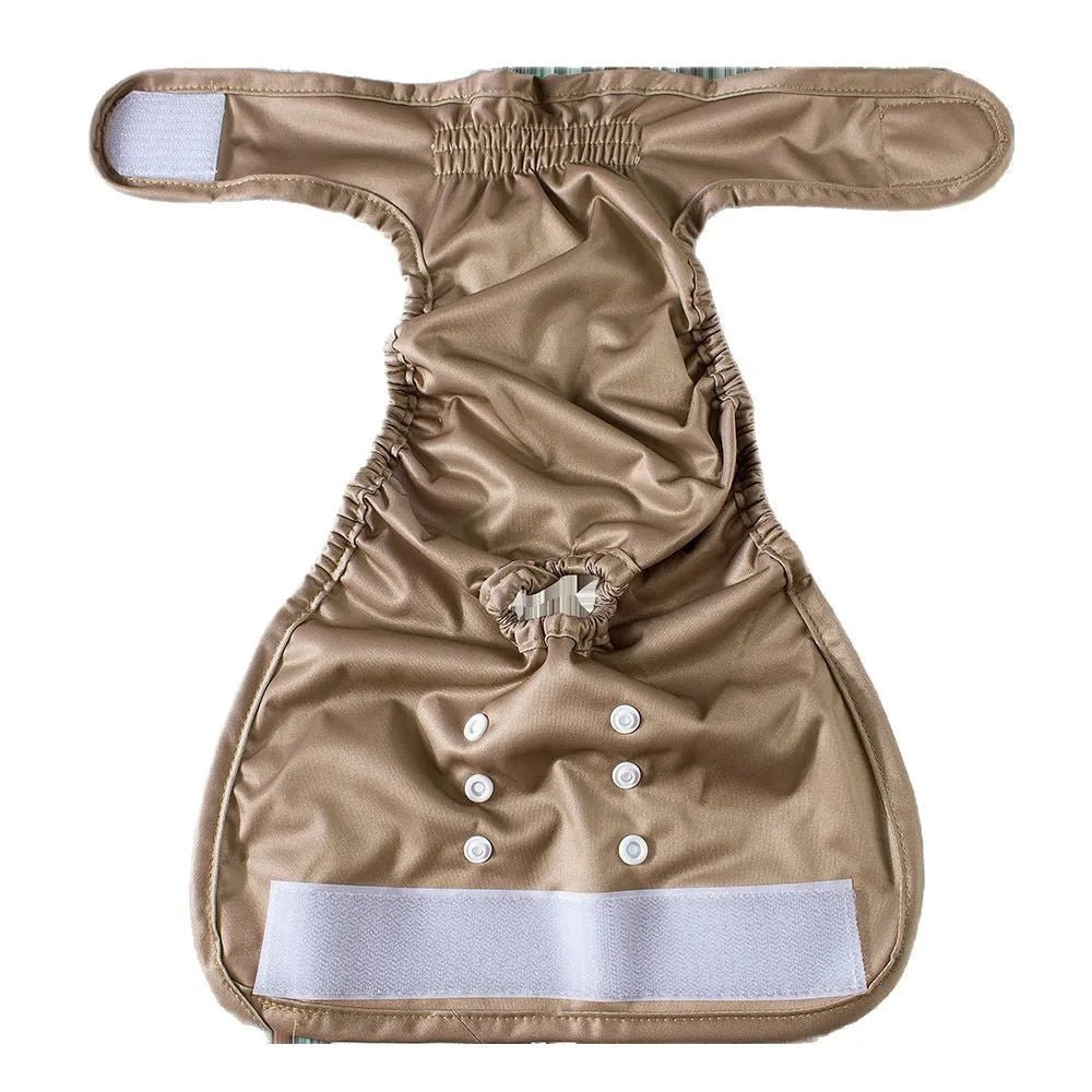 Vue latérale d'une culotte lavable pour chien