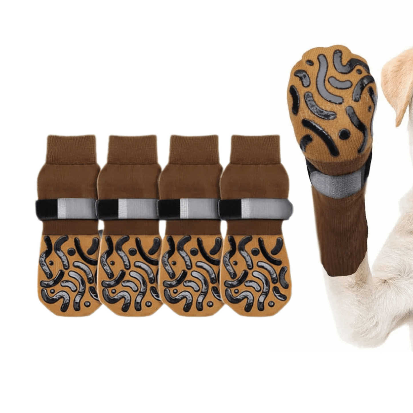 Chien assis avec chaussettes antidérapantes, sol carrelé