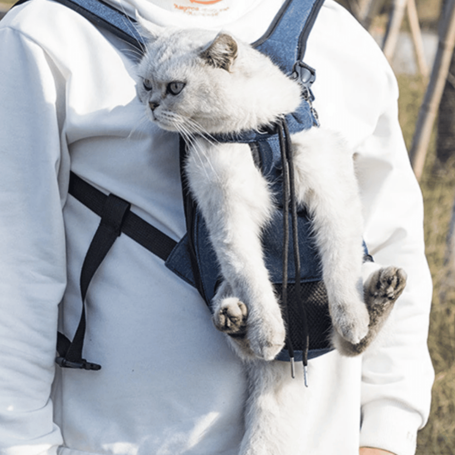 Sac à dos pour animaux porté sur le dos, démontrant le confort