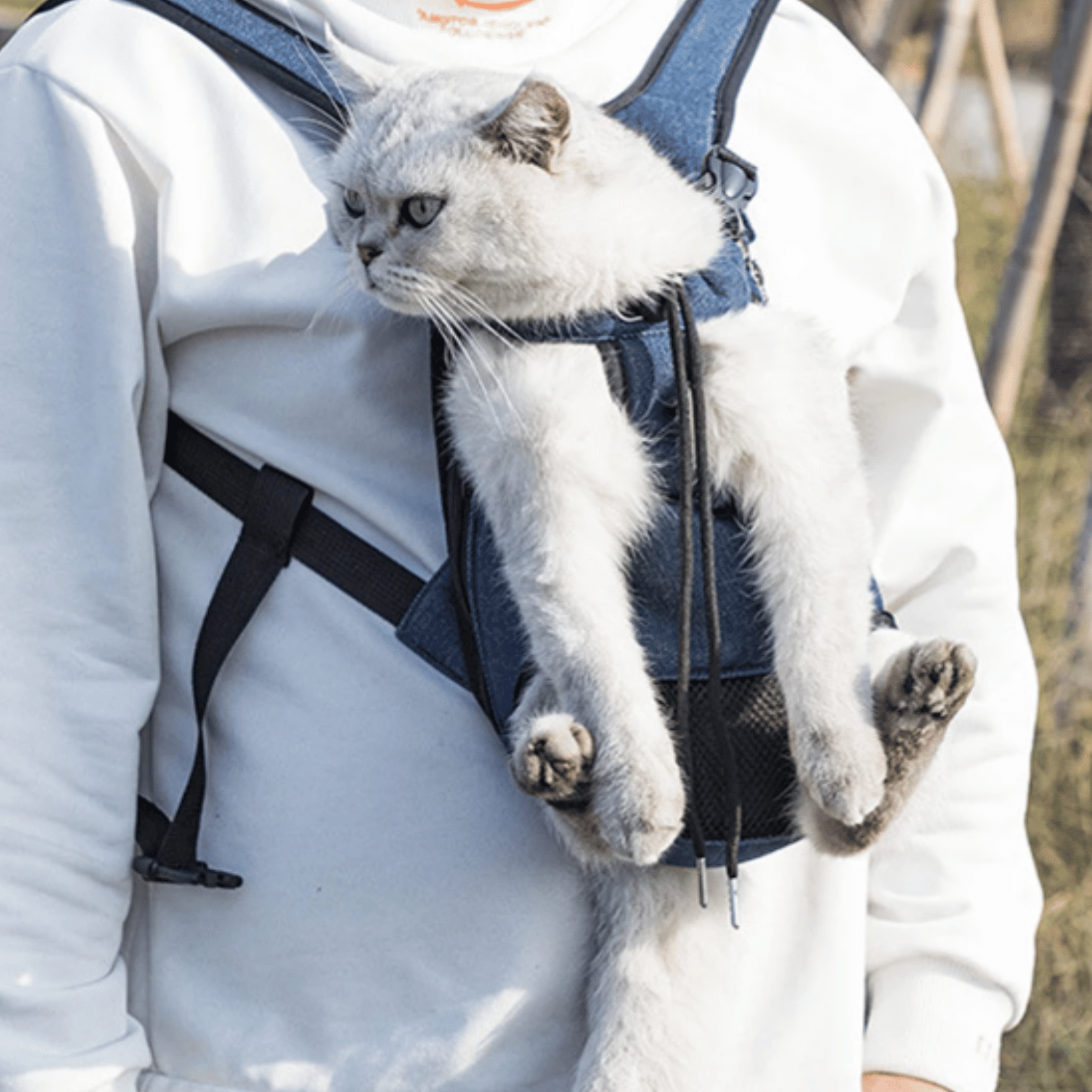 Sac à dos pour animaux porté sur le dos, démontrant le confort