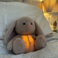 Jouet en peluche avec lumière douce dans une chambre sombre