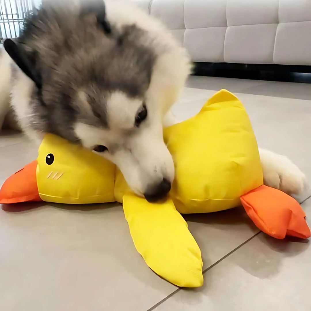 Jouet durable pour chien, idéal pour mâchoires puissantes