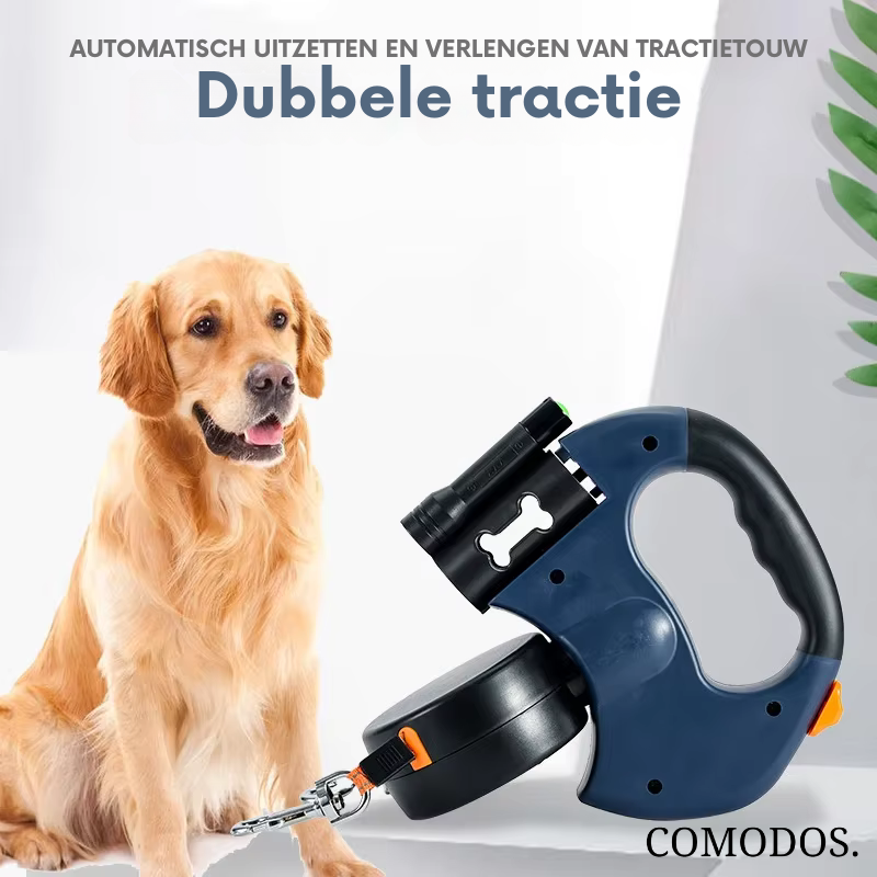 Laisse double en action avec deux chiens en promenade