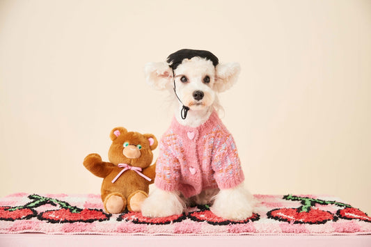 Chien debout, exposant les détails chics du pull