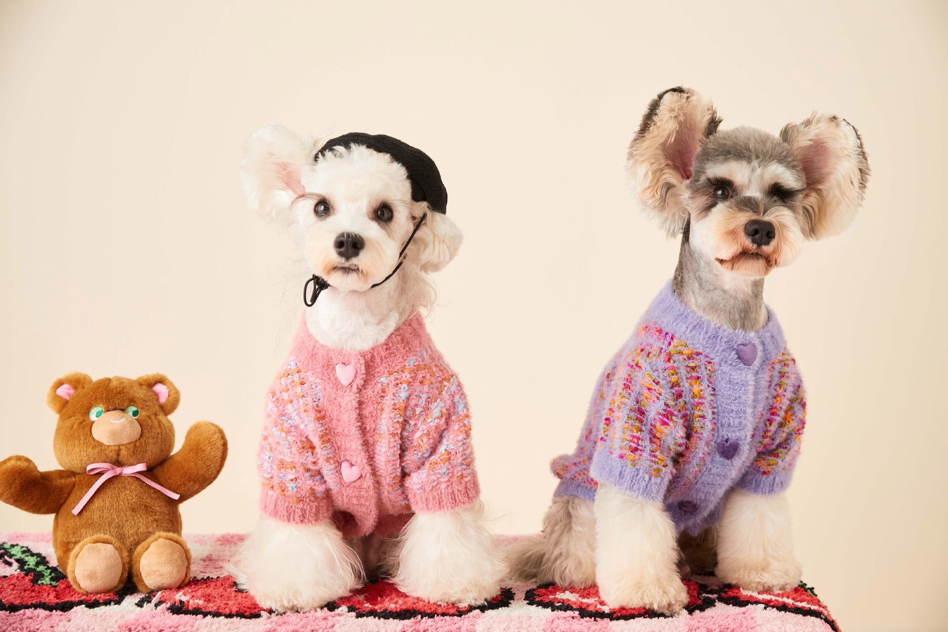Chien portant un pull en fleece doux et élégant