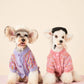 Chien assis, montrant le design ajusté du pull