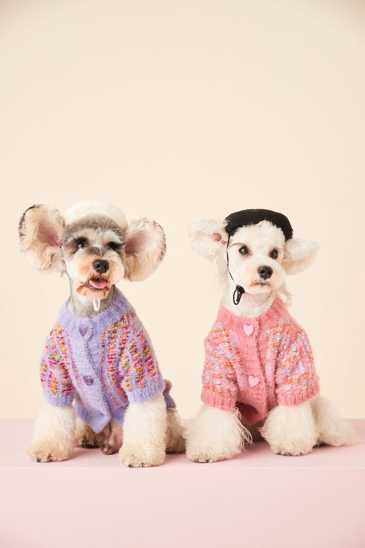 Chien assis, montrant le design ajusté du pull