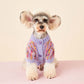 Pull en fleece vibrant sur un chien de petite race