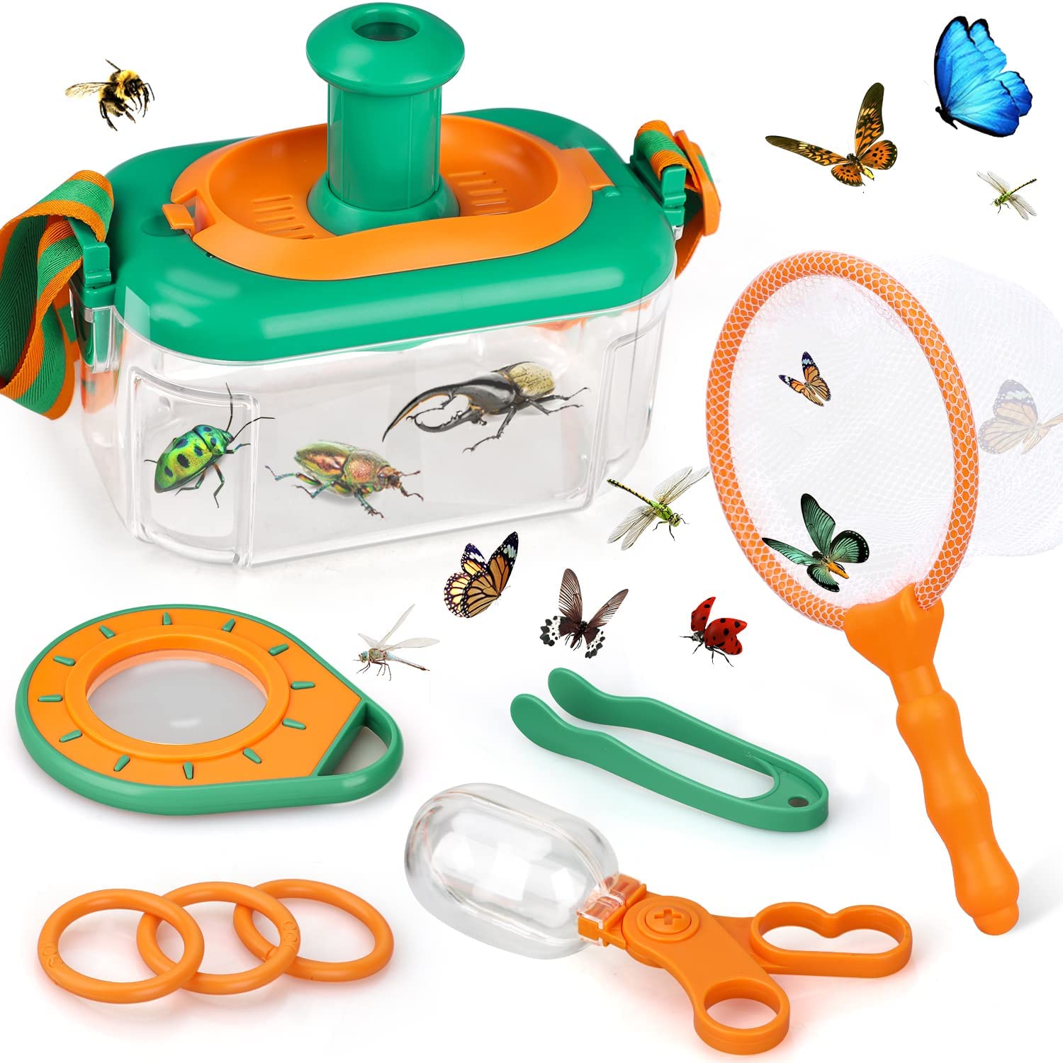 Vue d'ensemble du kit d'exploration d'insectes pour enfants