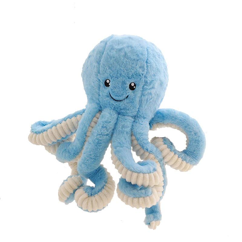 Gros plan sur les yeux et tentacules de l'octopus