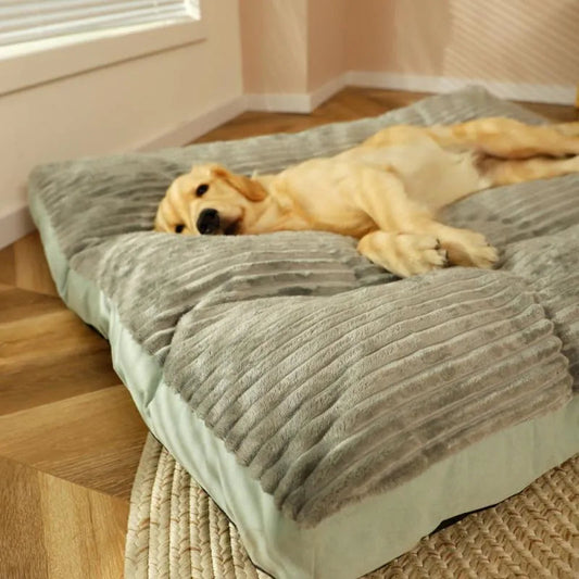 Vue d'ensemble du lit orthopédique, parfait pour chiens âgés