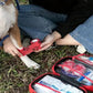 Trousse de secours ouverte avec fournitures pour animaux