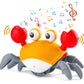 Détail des capteurs du crabe jouet intelligent et ludique