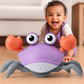 Dimensions du jouet crabe illustrées sur une image
