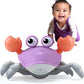 Vue arrière du jouet crabe montrant sa construction robuste