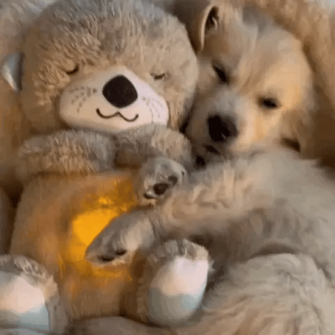 Peluche animée montrant un mouvement de câlin réconfortant