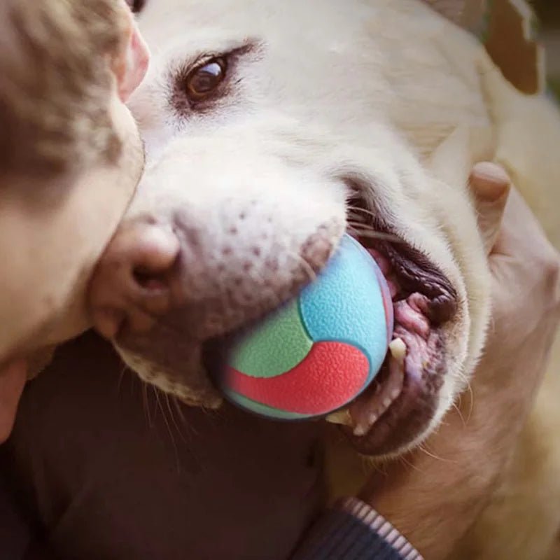 Balle en caoutchouc colorée avec picots pour chien