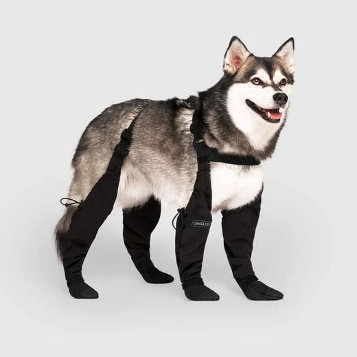 Détail des sangles ajustables des bottes pour chien