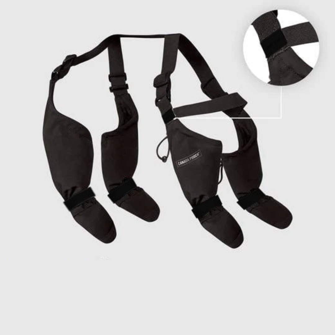Bottes pour chien sur sol enneigé, protection contre le froid