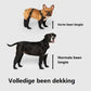 Bottes pour chien en action sur terrain accidenté