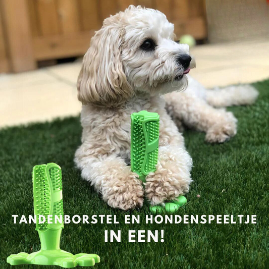 Vue latérale du jouet dentaire pour chiens actifs