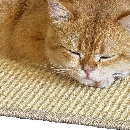 Tapis en sisal fixé verticalement sur un mur blanc