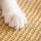 Chat utilisant un tapis à gratter en sisal sur le sol