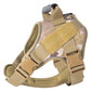 Gros plan sur les attaches de laisse du gilet tactique pour chien