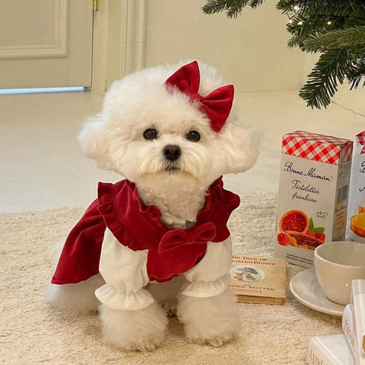 Vue latérale de la robe élégante pour petit chien