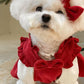 Chien en robe élégante, prêt pour une fête