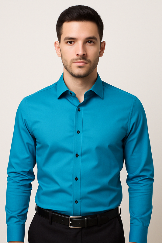 Chemise pour homme, vue complète, style professionnel